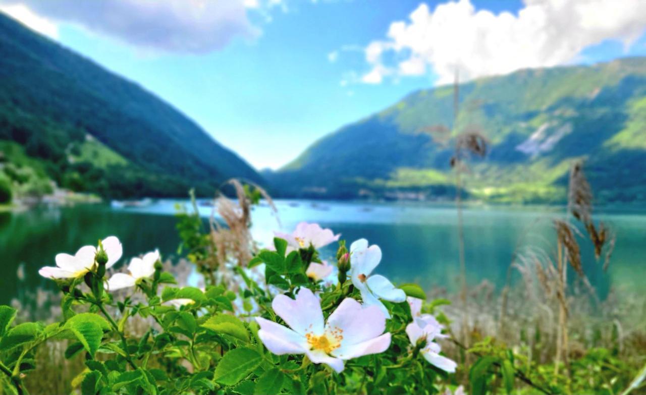 Emozioni Al Lago Farra d'Alpago Dış mekan fotoğraf